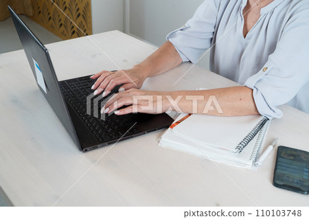 Senior woman working with laptop 110103748