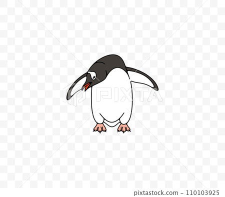 Subantarctic penguin or gentoo penguins, graphic design. Animal, bird, avian, feathered, antarctica and nature, vector design and illustration 110103925