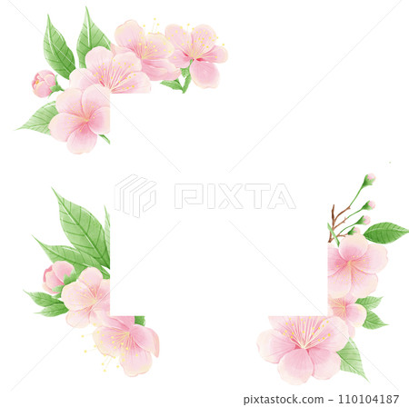 Watercolor hand drawn illustration of Cherry Blossom sakura frames wreaths border spring time pink blooming flowers 110104187