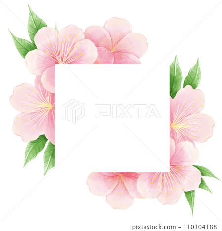 Watercolor hand drawn illustration of Cherry Blossom sakura frames wreaths border spring time pink blooming flowers 110104188