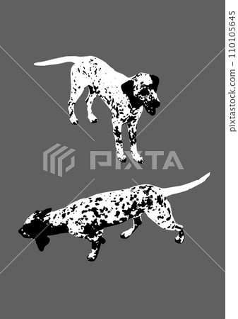 Two dynamic poses of a Dalmatian dog vector illustration. Perfectly suited for vibrant and fashionable t-shirt and hoodie prints. A stylish vector artwork showcasing dalmatian charm. Two dynamic poses of a Dalmatian dog vector illustration. Perfectly suited for vibrant and fashionable t-shirt and hoodie prints. A stylish vector artwork showcasing dalmatian charm. 110105645