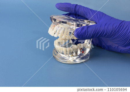 Dentist's Hand Holds Study Standard Typodont or Periodontal Disease Teeth Model in Laboratory For Studying on Blue Background Mockup, Copy Space For Text. Horizontal Template. Oral Health. 110105694