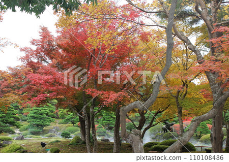 Autumn leaves 110108486