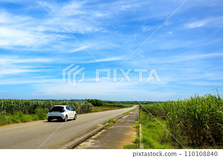 沿著沖繩有甘蔗田的筆直道路行駛 沿著沖繩有甘蔗田的筆直道路行駛 110108840