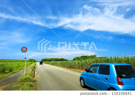 沿著沖繩有甘蔗田的筆直道路行駛 沿著沖繩有甘蔗田的筆直道路行駛 110108841