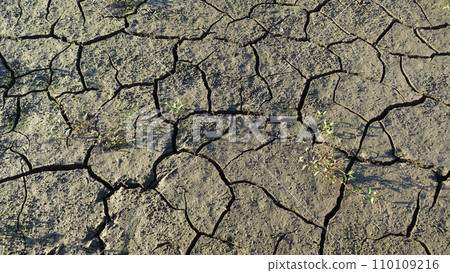 缺水 缺水 110109216