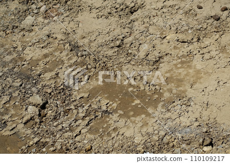 缺水 缺水 缺水 缺水 110109217