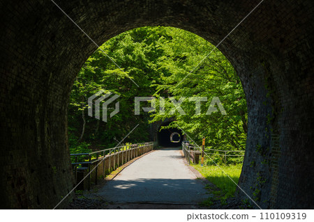群馬縣安中市的春天，綠意盎然的 Abt 路和歷史悠久的隧道 110109319