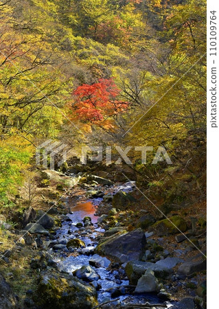 赤城山南側紅葉盛開的春川溪谷(瀧澤) 赤城山南側紅葉盛開的春川溪谷(瀧澤) 110109764
