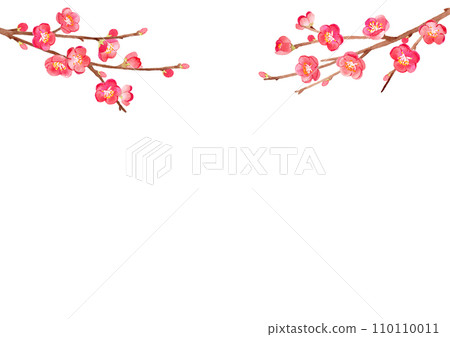 Plum watercolor background illustration Plum watercolor background illustration 110110011