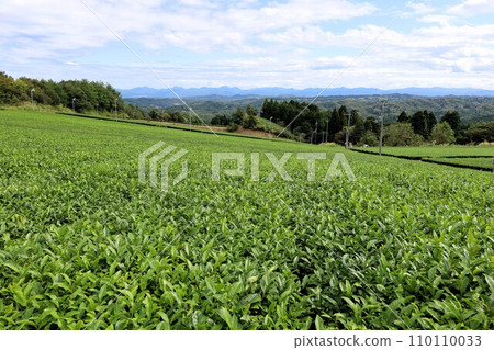 Inland scenery of the Kii Peninsula seen from Yamato, Yamazoe village in Nara, Yamato tea production area and Mt. Kamino, Park Kinoyama at the end of summer. Inland scenery of the Kii Peninsula seen from Yamato, Yamazoe village in Nara, Yamato tea production area and Mt. Kamino, Park Kinoyama at the end of summer. 110110033