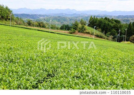 從大和、奈良的山添村、大和茶產地以及夏末的神野山、紀之山公園看到的紀伊半島內陸風光。 從大和、奈良的山添村、大和茶產地以及夏末的神野山、紀之山公園看到的紀伊半島內陸風光。 110110035
