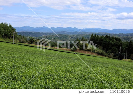 Inland scenery of the Kii Peninsula seen from Yamato, Yamazoe village in Nara, Yamato tea production area and Mt. Kamino, Park Kinoyama at the end of summer. 110110036