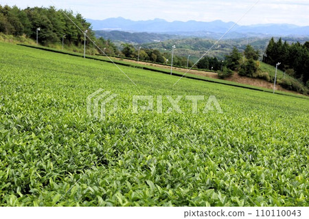 從大和、奈良的山添村、大和茶產地以及夏末的神野山、紀之山公園看到的紀伊半島內陸風光。 從大和、奈良的山添村、大和茶產地以及夏末的神野山、紀之山公園看到的紀伊半島內陸風光。 110110043