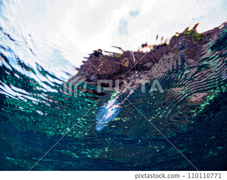 Hirizo 海灘上的神秘水母（水母科）。從靜岡縣伊豆半島加茂郡南伊豆町中木出發的渡輪 110110771