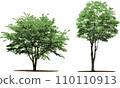 Illustration of a tree with lush leaves, tree, tree 110110913