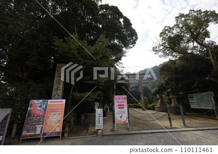 Hachiman-san in Yahata, Hachiman Shrine, Iwashimizu Hachiman Shrine in autumn, divine virtues, walking, 110111461