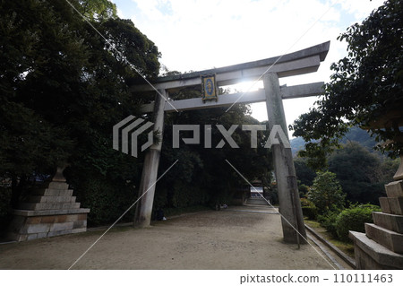 Hachiman-san in Yahata, Hachiman Shrine, Iwashimizu Hachiman Shrine in autumn, divine virtues, walking, Hachiman-san in Yahata, Hachiman Shrine, Iwashimizu Hachiman Shrine in autumn, divine virtues, walking, 110111463