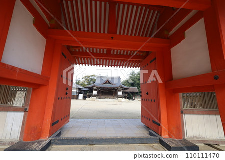 Hachiman-san in Yahata, Hachiman Shrine, Iwashimizu Hachiman Shrine in autumn, divine virtues, walking, Hachiman-san in Yahata, Hachiman Shrine, Iwashimizu Hachiman Shrine in autumn, divine virtues, walking, 110111470