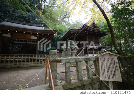 Hachiman-san in Yahata, Hachiman Shrine, Iwashimizu Hachiman Shrine in autumn, divine virtues, walking, Hachiman-san in Yahata, Hachiman Shrine, Iwashimizu Hachiman Shrine in autumn, divine virtues, walking, 110111475