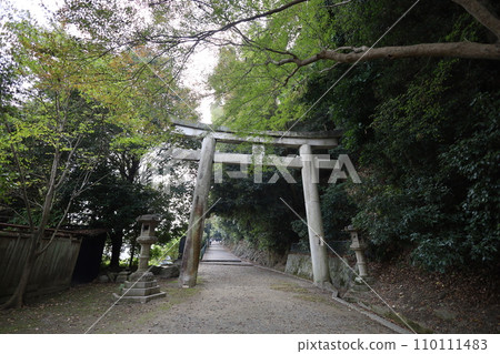 八幡山,八幡神社,秋天的石清水八幡神社,神德,行走, 八幡山,八幡神社,秋天的石清水八幡神社,神德,行走, 110111483