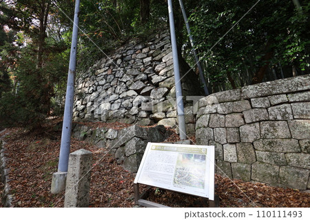 Hachiman-san in Yahata, Hachiman Shrine, Iwashimizu Hachiman Shrine in autumn, divine virtues, walking, Hachiman-san in Yahata, Hachiman Shrine, Iwashimizu Hachiman Shrine in autumn, divine virtues, walking, 110111493