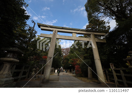 Hachiman-san in Yahata, Hachiman Shrine, Iwashimizu Hachiman Shrine in autumn, divine virtues, walking, Hachiman-san in Yahata, Hachiman Shrine, Iwashimizu Hachiman Shrine in autumn, divine virtues, walking, 110111497