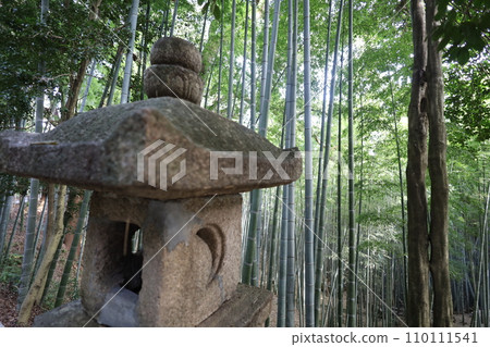 八幡山，八幡神社，秋天的石清水八幡神社，神德，行走， 110111541