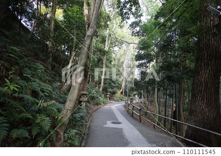 八幡山，八幡神社，秋天的石清水八幡神社，神德，行走， 110111545