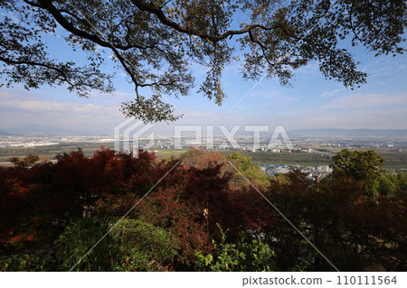 Hachiman-san in Yahata, Hachiman Shrine, Iwashimizu Hachiman Shrine in autumn, divine virtues, walking, 110111564
