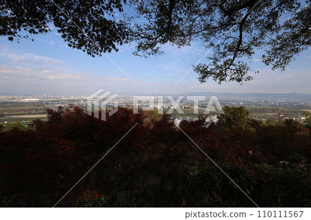 Hachiman-san in Yahata, Hachiman Shrine, Iwashimizu Hachiman Shrine in autumn, divine virtues, walking, 110111567