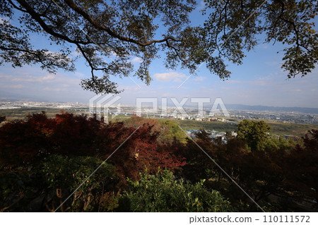 Hachiman-san in Yahata, Hachiman Shrine, Iwashimizu Hachiman Shrine in autumn, divine virtues, walking, Hachiman-san in Yahata, Hachiman Shrine, Iwashimizu Hachiman Shrine in autumn, divine virtues, walking, 110111572
