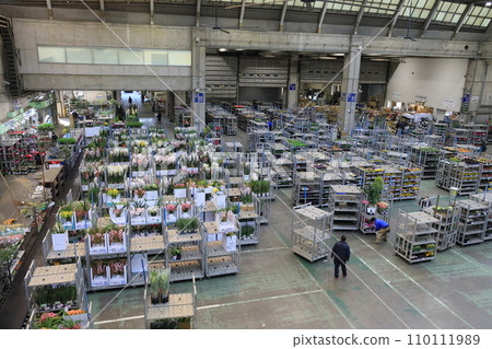 Ota market flower market Ota market flower market 110111989