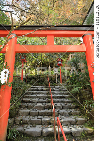 Kyoto Kifune Shrine Seisha (Chugu) Torii 110112326