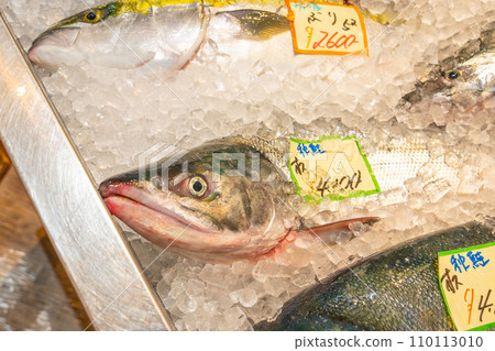宇登呂秋季鮭魚雄性 宇登呂秋季鮭魚雄性 110113010