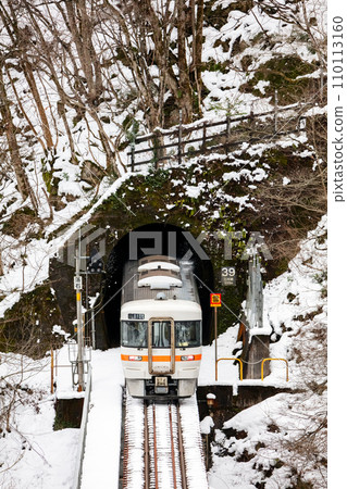 [Takayama Main Line] Local train passes through a tunnel and crosses a railway bridge 110113160