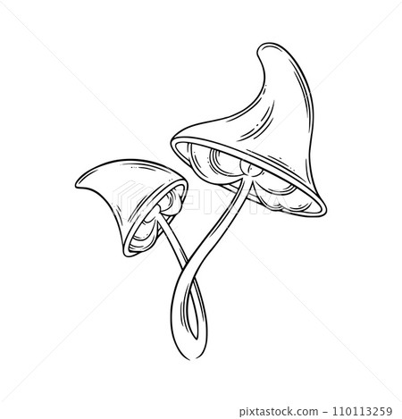 Poison mushrooms. Psychedelic mushrooms for wicca rituals. Vector illustration Poison mushrooms. Psychedelic mushrooms for wicca rituals. Vector illustration 110113259