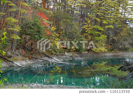 Urabandai Goshikinuma Autumn leaves Aonuma 110113550