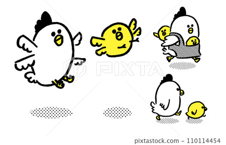 A parent and child of round and cute chickens 110114454