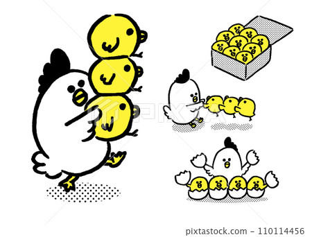 A parent and child of round and cute chickens A parent and child of round and cute chickens 110114456