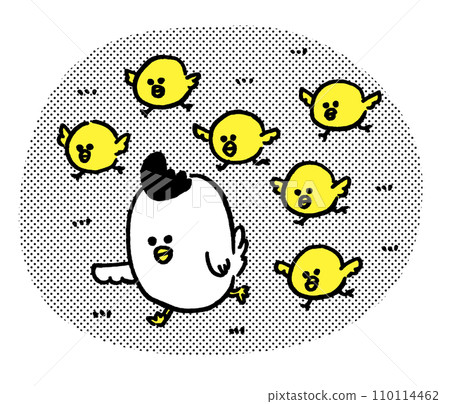 A parent and child of round and cute chickens 110114462