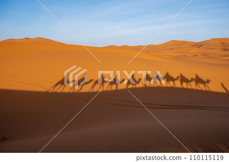 Silhouette of a convoy of camels in the Sahara Desert Silhouette of a convoy of camels in the Sahara Desert 110115119