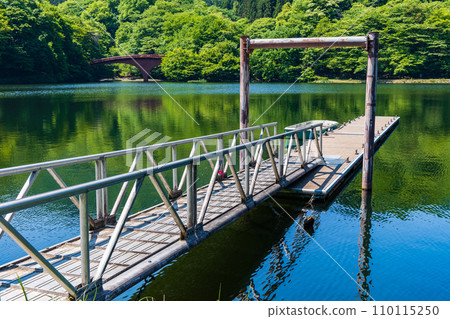 Spring in Annaka City, Gunma Prefecture, Abt Road with fresh greenery, Lake Usui 110115250