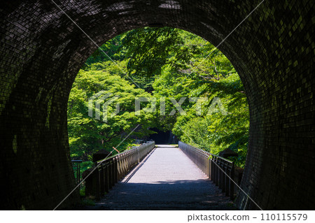 Spring in Annaka City, Gunma Prefecture, Abt Road with fresh greenery, Usui Third Bridge (Megane Bridge) 110115579