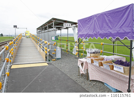 薰衣草田站 JR 薰衣草田站 薰衣草田 F41 富良野線 JR 富良野線 110115761