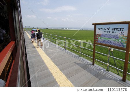 薰衣草田站 JR 薰衣草田站 薰衣草田 F41 富良野線 JR 富良野線 110115778