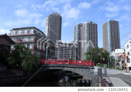 柏島柏橋 柏島柏橋 110116431