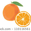 orange, fruit, lemon 110116561