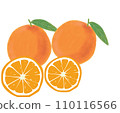 orange, fruit, lemon 110116566