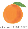 orange illustration art 110116629